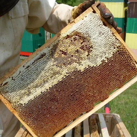 Prázdninový dům Na Vcelej Farme Polichno