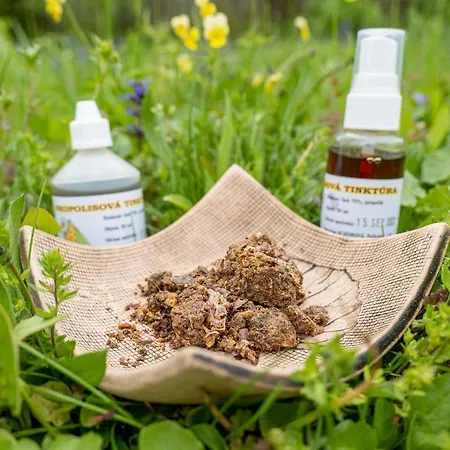 Na Vcelej Farme Polichno