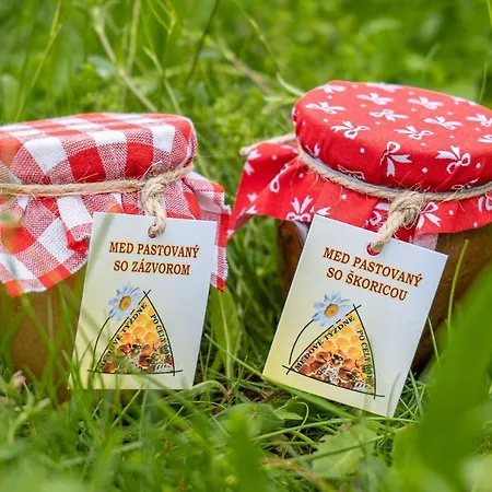 Dom wakacyjny Na Vcelej Farme *