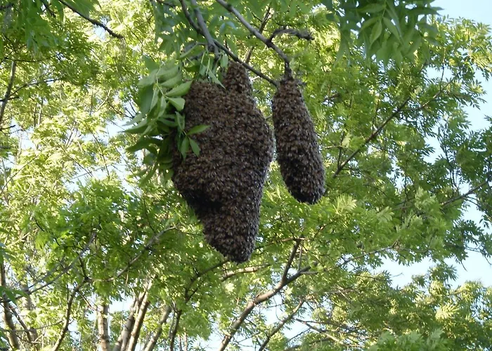 Feriehus Na Vcelej Farme *