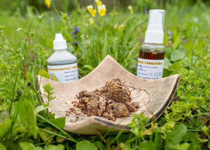 Na Vcelej Farme Polichno